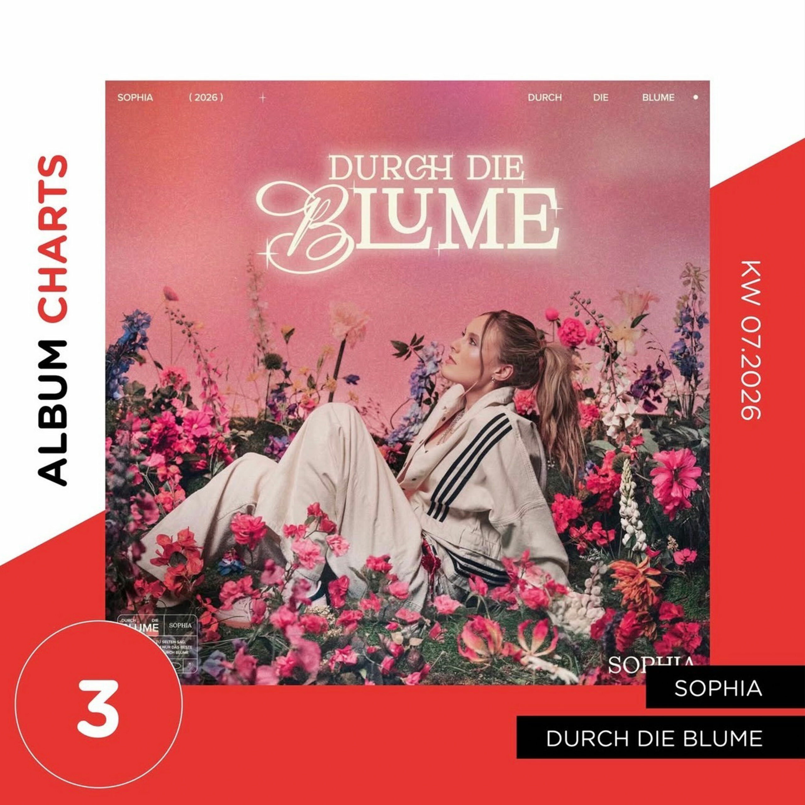 BTR_Leistungen_Charts_SB